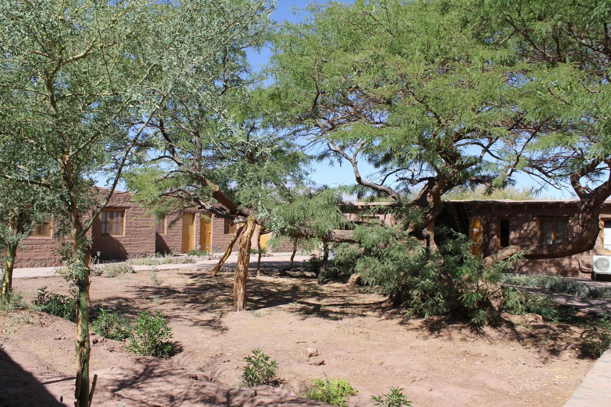 Hotel Casa Don Esteban San Pedro De Atacama Extérieur photo