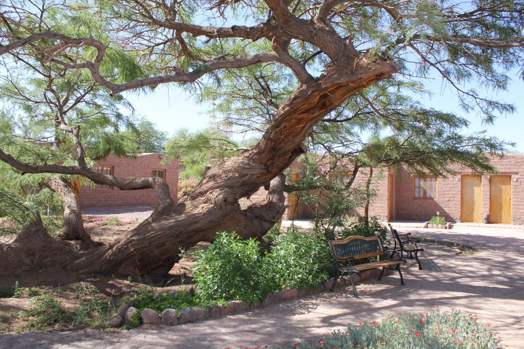 Hotel Casa Don Esteban San Pedro De Atacama Extérieur photo